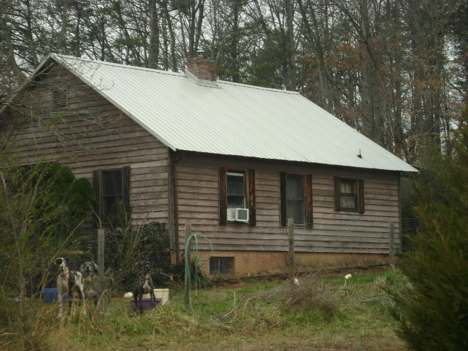 White metal roof on an old wood sided farmhouse, from a Asphalt Shingle Roof Repair job in South Dennis